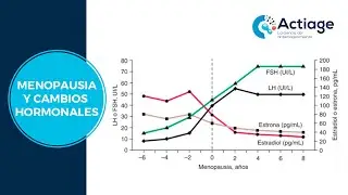 👱🏼‍♀ Menopausia: Impacto y cambios hormonales
