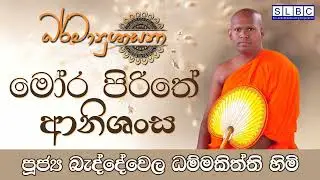 2023 OCT 31 | 08 00 PM | මෝර පිරිතේ ආනිශංස | පූජ්‍ය බැද්දේවෙල ධම්මකිත්ති හිමි