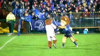 Sparky & Leo sham fight