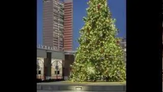 Christmas in Fort Wayne 2012