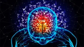 What is the Memory Capacity of the Human Brain ?