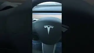 creaking noise from steering wheels in Tesla model 3