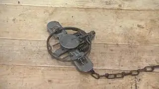 Duke #1.5 Double Jaw Coil-Spring Trap