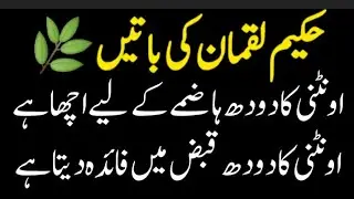 Islamic health wisdom Hakeem Luqman Natural Health Tips for Body & Mind🍀 SochoSamjhoTv