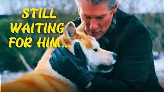 He Waited 10 Years for a Master Who Would Never Return