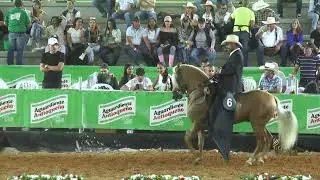 TESORILLO DE SAN SEBASTIAN, SEGUNDO PUESTO CABALLOS DE 60 A 78 MESES P3 EXPO ASOCABA GRADO B 2023