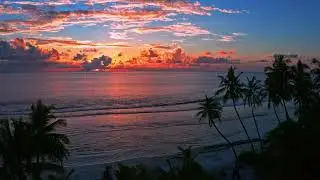 mixkit bright orange sunset on beach 2168 hd ready
