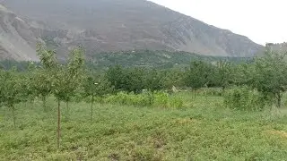 Chillum Astore towards Deosai National Park Astore || Relay Northern Tour