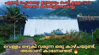 തെങ്കാശിയിലെ പ്രശസ്തമായ ഡാം🔥| Mekkarai paddy field | adavinainar dam | tenkasi | sr&me | travel vlog