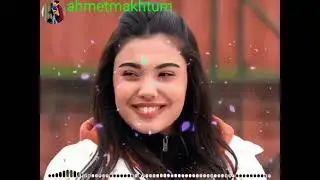 محیب الله دالی❤ Mohibullah Dali
