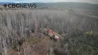 Scientists travel to study earthquake risk near Dawson City