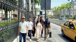 MI DESTINO - TDC (Visualizer)