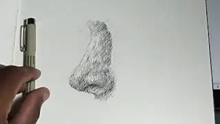 Pen and ink drawing tutorial how to draw a nose