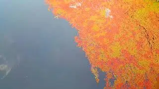 Full Body Healing Meditation Music | Mind, Body And Soul Healing Music
