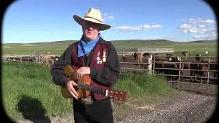 The History Wrangler sings to Alberta Cows