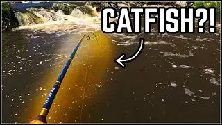 Я поймал огромную рыбу на крючок у этого водопада в Орегоне!!