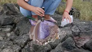 How to find this purple crystal, red agate, diamond, ore, gem in the rocky area by the sea