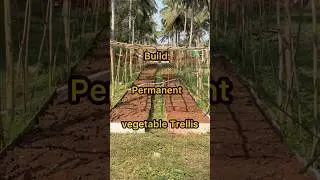 How to build cheap permanent vegetable bed - trellis system