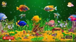 Underwater Colorful Fish Lullaby &ndash; Baby Sleep & Relaxation Music  @kidslullabymusic