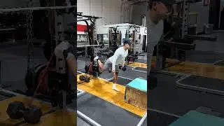 The MOST Sport Specific Exercise EVER!! Single Leg RDL to Box Snatch Dumbbells NFL pro Younghoe Koo