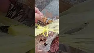 Бывает попадается в меди серебро