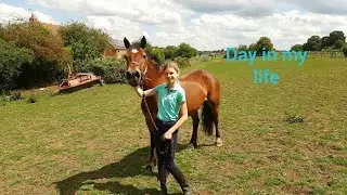Day In the life as an equestrian [please read the description]
