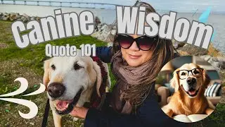 🤔💭WINDY HOLD ME AWAY💨CANINE WISDOM🐕 DOG QUOTE OF THE DAY #101