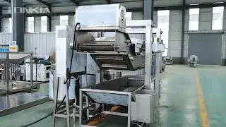 Potato chips continuous frying machine