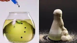 2 EASY Science Experiments To Do At Home #shorts