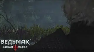 Ведьмак 3 
