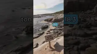 NexGold Mining (TSXV: NEXG) Hits Big!