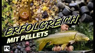 Karpfenangeln für Anfänger: Pellets - Alles was du wissen musst!