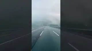 thick fog covers the road #road #thickthighssavelives #drive