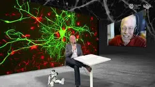 SAILS Event The Future of AI is Human, interview Jay McClelland (2020)