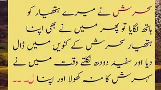 Sehresh Api Part 5 | Bhai Apka Hathyar Bohot Acha He | Emotional Story | Stories Panel | Urdu Story