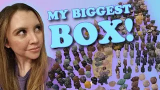 Crystal Inventory Unboxing | Crystal Overload!