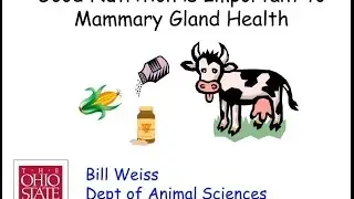 Dairy Animal Nutrition and Mammary Health