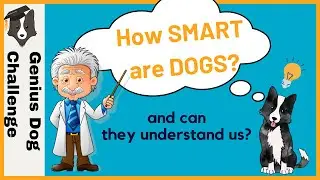 How smart are dogs? Canine Science Symposium SICB 2021