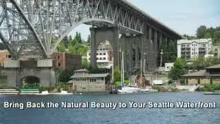 Sterling Milfoil Removal - Seattle Waterfront