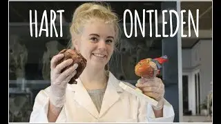 HART PRACTICUM!