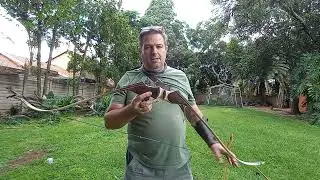 Speedtest of the new Tasmanian Devil short take-down recurve bow.