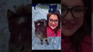 Долгосрочные планы Грега