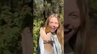 The SUPER GENERATION of Monarchs! 🦋