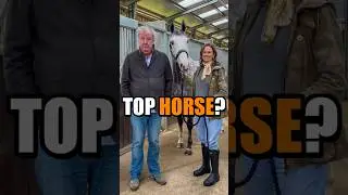 Apperantly, Jeremy Clarkson Owns a Winning Racehorse