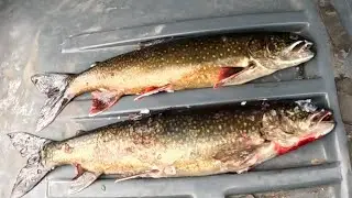 Fishing and camping on ice (BWCA)