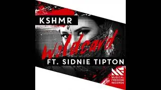 KSHMR ft Sidnie Tipton - Wildcard (BROSKEY Bootleg) REVERB EDIT