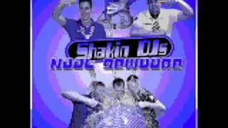 Shakin Dj's - Fietsefreem Medly