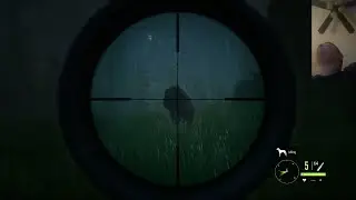 Invisibility glitch (The Hunter Call of the wild)
