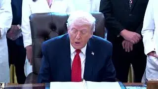 How Trump's move to ease marijuana regulations impacts the industry | REUTERS