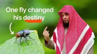 A Fly, Tawheed, and a Man Who Found the Truth